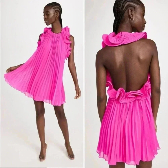 NWT - AMUR Lady’s Mimi Dress in Pink Hydrangeas Size 2 - Picture 3 of 14